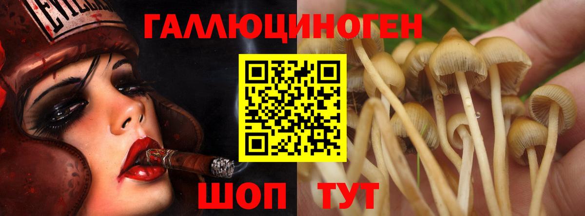 Псилоцибиновые грибы Magic Shrooms  Вход с VPN  Бугуруслан 