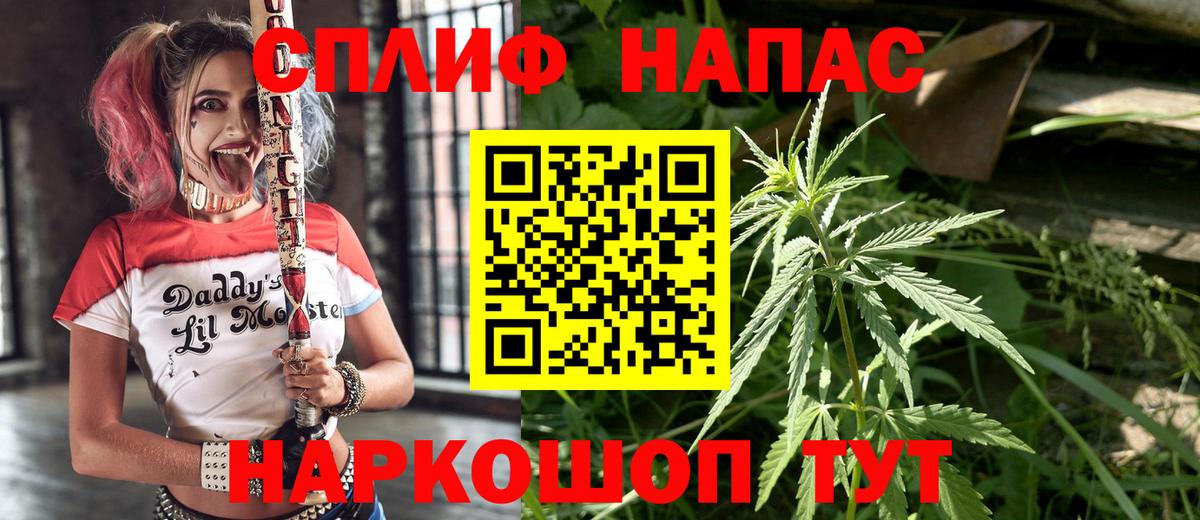 Шишки марихуана семена Бугуруслан